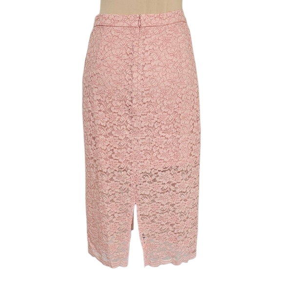 Aritzia Babaton Pink Floral Lace Embellished Midi Pencil Skirt Sz 8 - Picture 3 of 9